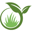 Lynnwood Lawn Clean Up