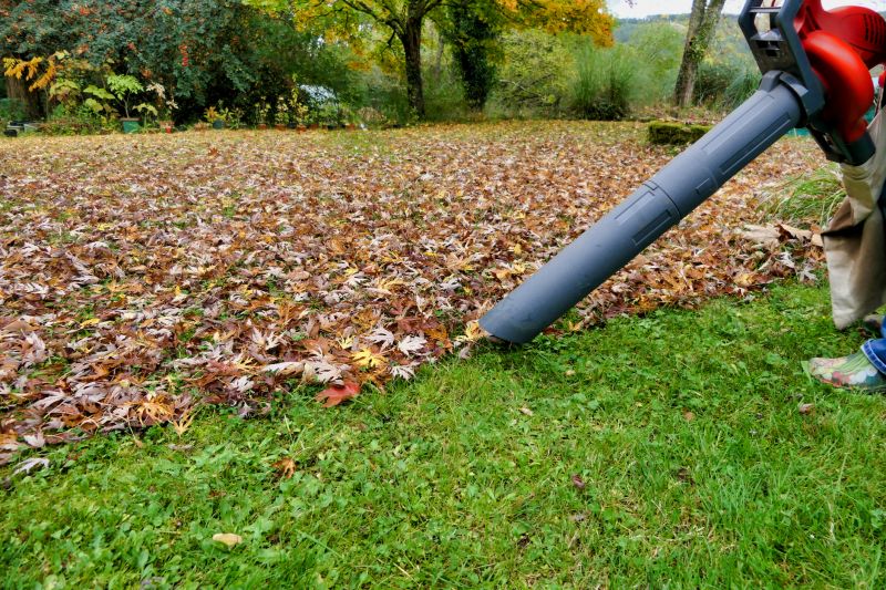 Autumn Lawn Maintenance Tools