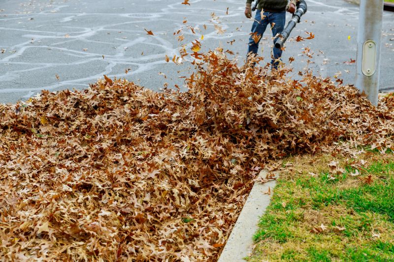 Leaf Blower in Use