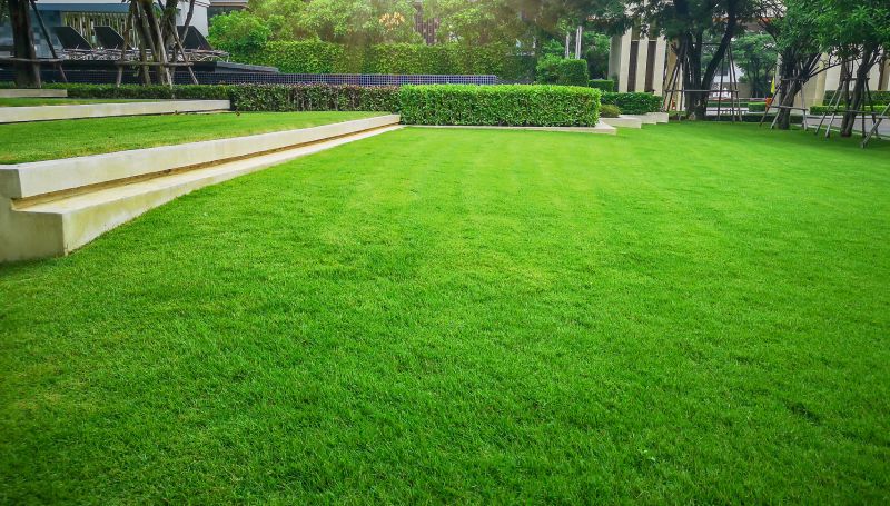 Lawn with Clear Borders