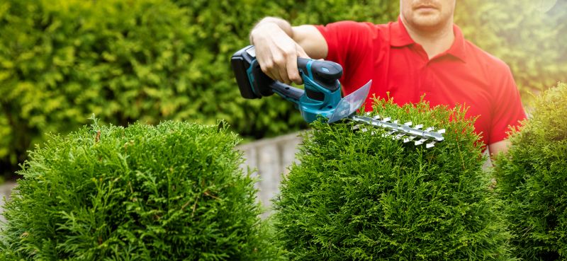 Landscape Maintenance Firms