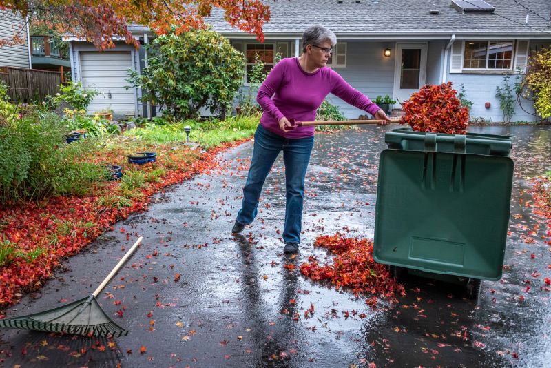 Fall Leaf and Debris Removal