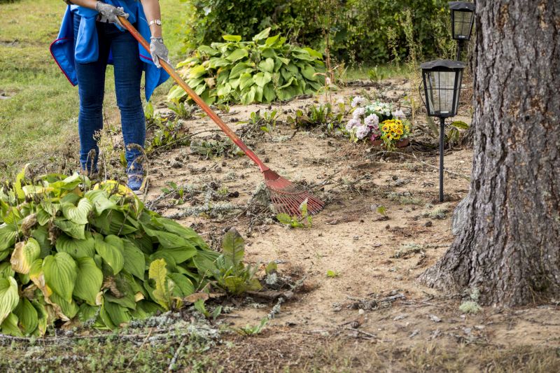 Yard Raking